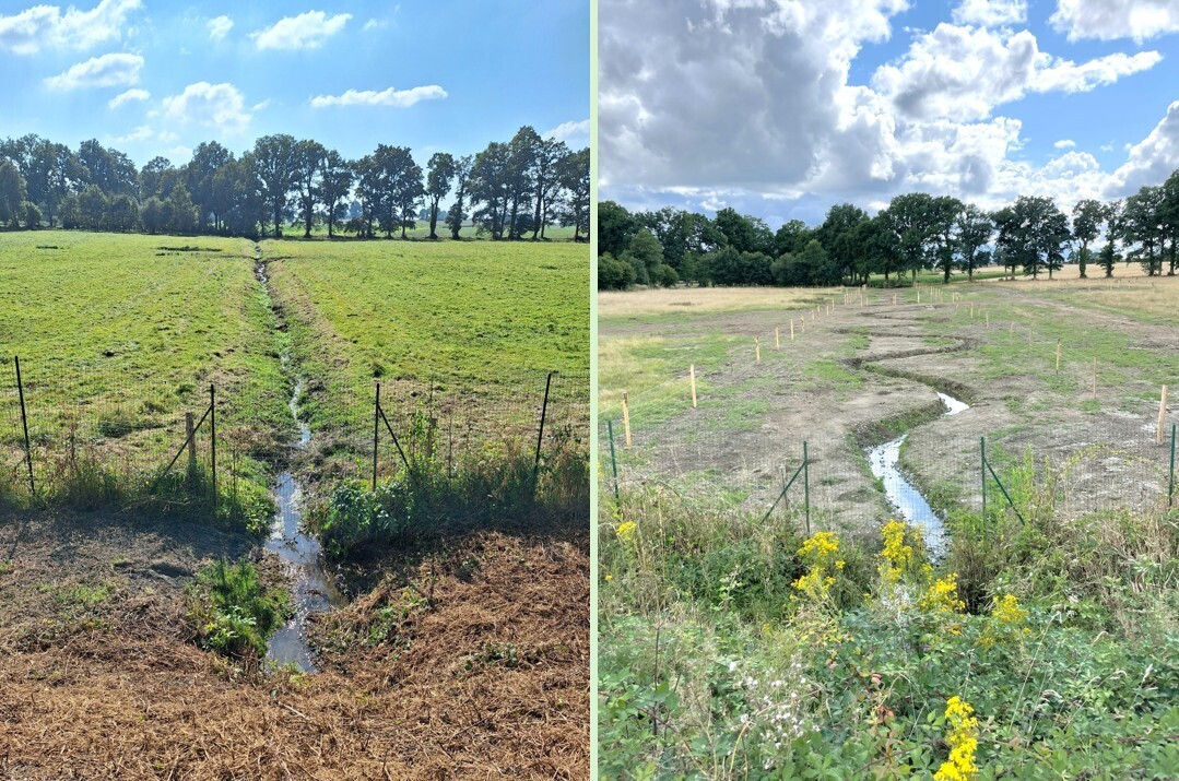 LUITRE-DOMPIERRE - Renaturation d'un cours d'eau (6)